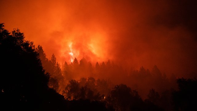 Снимка: Bloomberg