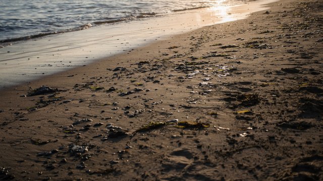 Снимка: Bloomberg LP