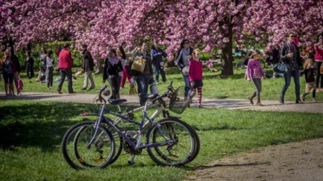 <p>
	<em>Снимка: архив БТА</em></p>
