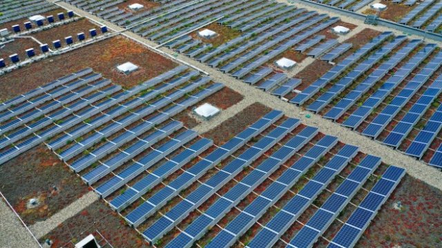 <p>
	<em>Снимка: Bloomberg L.P.</em></p>
