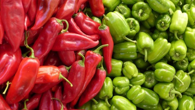 <p>
	<em>Снимка: Pixabay</em></p>
