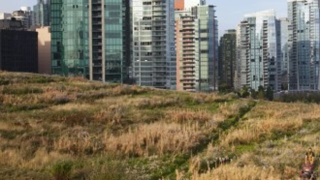 <p>
	<em>Снимка: Архив Ройтерс</em></p>
