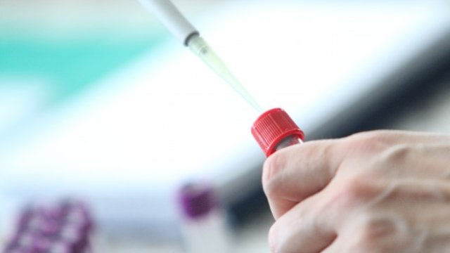 <p>
	<em>Снимка: БГНЕС/БЛАГОЙ КИРИЛОВ</em></p>
