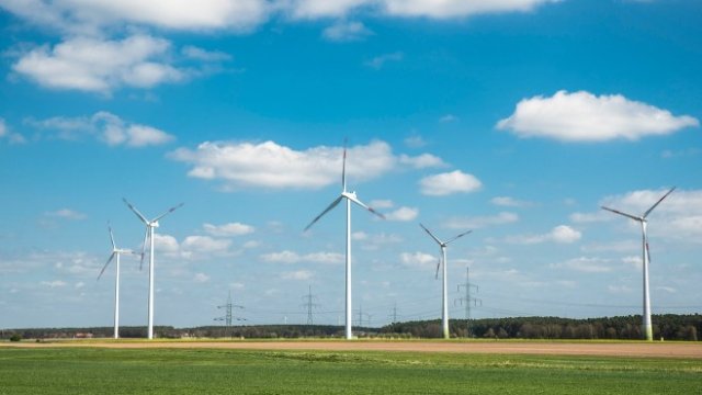 <p>
	<em>Снимка: Pixabay</em></p>
