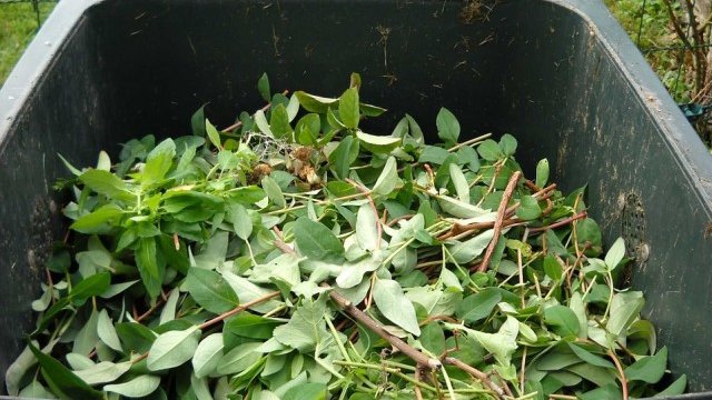 <p>
	<em>Снимка: Pixabay</em></p>
