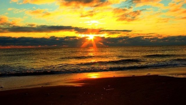 <p>
	<em>Снимка: Pixabay</em></p>
