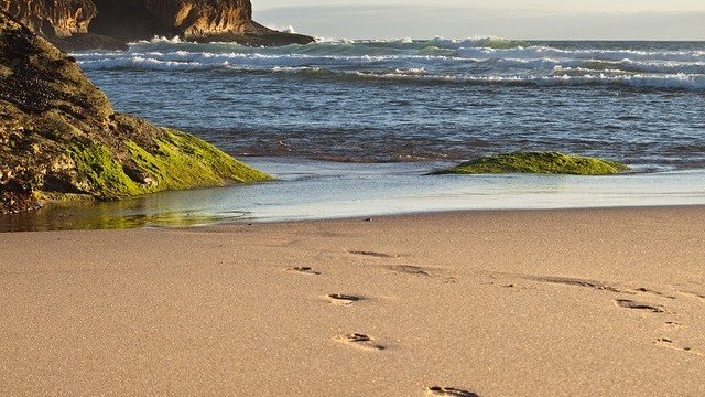 <p>
	<em>Снимка: Pixabay</em></p>
