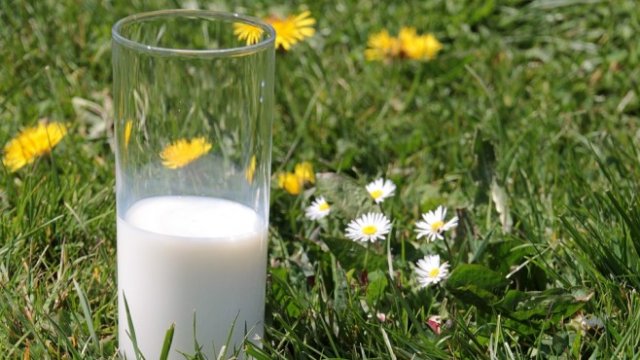 <p>
	<em>Снимка: Pixabay</em></p>
