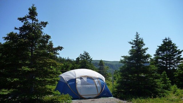 <p>
	<em>Снимка: Pixabay</em></p>
