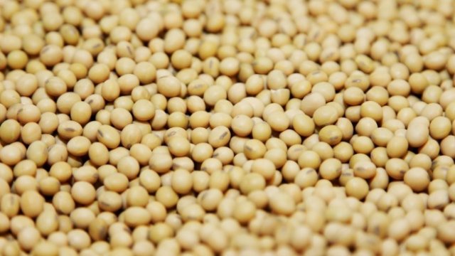 <p>
	<em>Снимка: архив Ройтерс</em></p>
