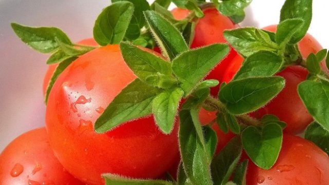 <p>
	<em>Снимка: Pixabay</em></p>
