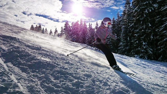 Снимка: Pixabay