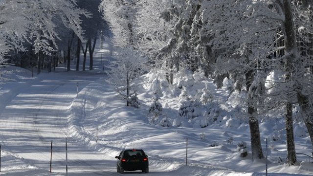 <p>
	<em>Снимка: Ройтерс</em></p>
