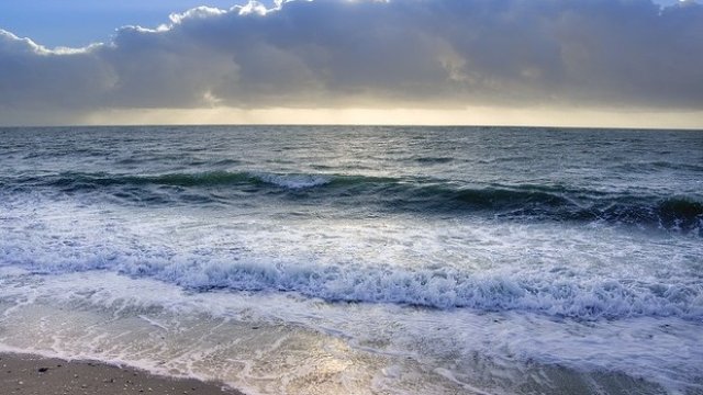 <p>
	<em>Снимка: Pixabay</em></p>
