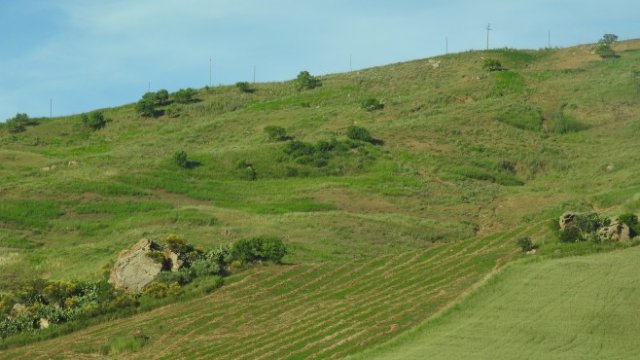 Адванс Терафонд АДСИЦ продължава с продажбите, договори 343 дка