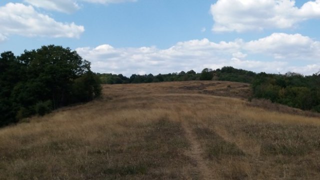 <p>
	Снимка: Investor.bg</p>
