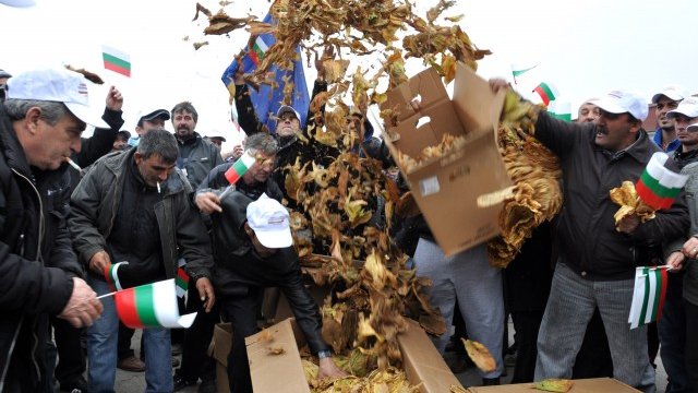 <p>
	На 6 януари 2014 г. около 300 тютюнопроизводители блокираха международния <span id="mxzjbjrhkqluvnrjnpsjongo" style="cursor: pointer; color: rgb(255, 0, 0); text-decoration: underline; border-bottom: 1px solid rgb(255, 0, 0);">път</span> Е80 към Турция в знак на протест. <em>Снимка: БТА</em></p>
