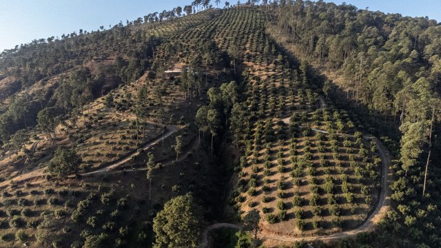 Снимка: Cesar Rodriguez/Bloomberg