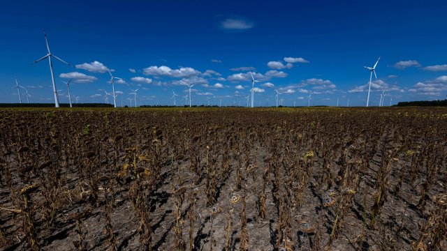 Снимка: Bloomberg