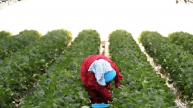 <p>
	<em>Снимка: SeongJoon Cho/Bloomberg</em></p>
