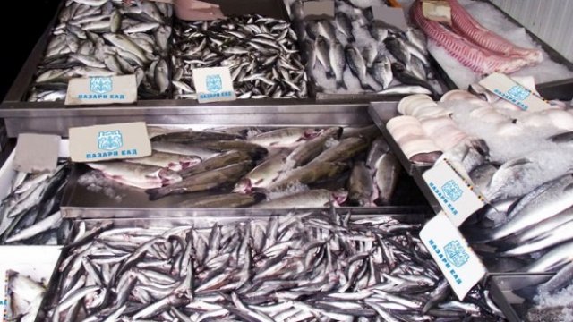 <p>
	Рибната борса във Варна. <em>Снимка: pazarivarna.com</em></p>
