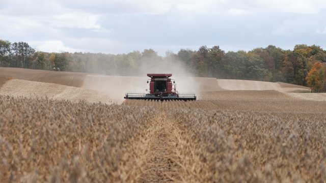 Снимка: Bloomberg LP