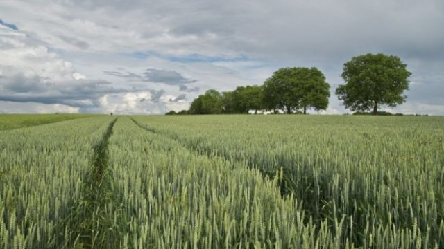 <p>
	<em>Снимка: Pixabay</em></p>
