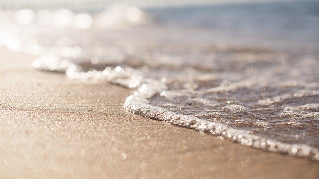 <p>
	<em>Снимкса: Pixabay</em></p>
