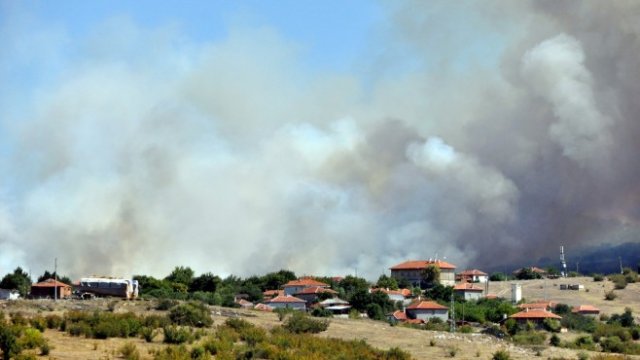 <p>
	Голям горски пожар избухна преди дни край хасковското село Брягово. <em>Снимка: БТА</em></p>
<p>
	&nbsp;</p>
