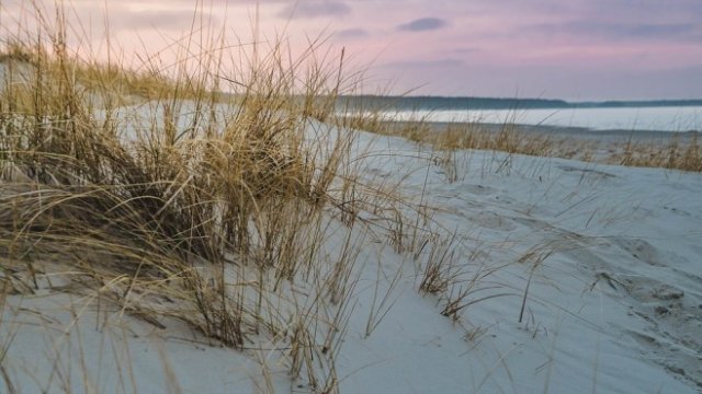 <p>
	<em>Снимка: Pixabay</em></p>
