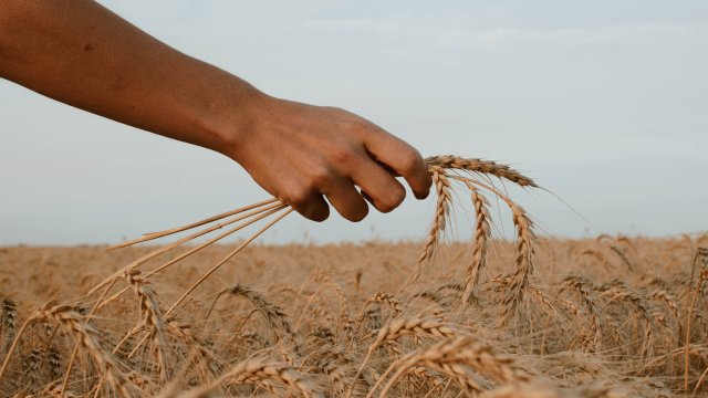 Снимка: unsplash.com