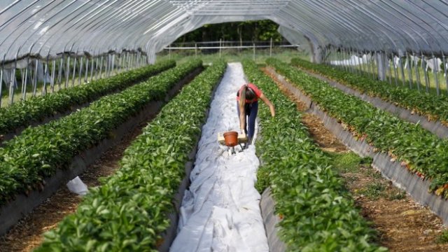 <p>
	<em>Снимка: Alex Kraus/Bloomberg</em></p>
