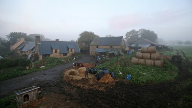 <p>
	<em>Снимка: Архив Ройтерс</em></p>
