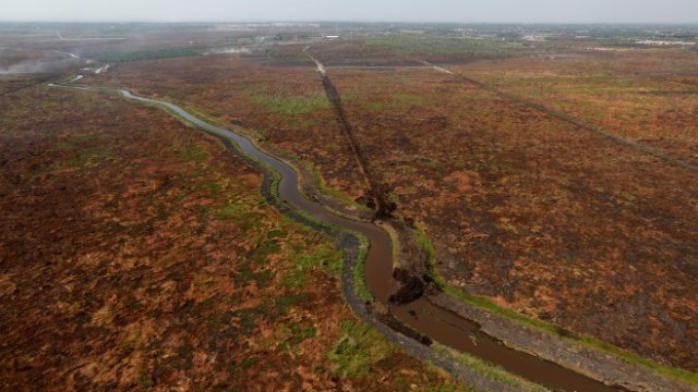 <p>
	<em>Снимка: Ройтерс</em></p>
