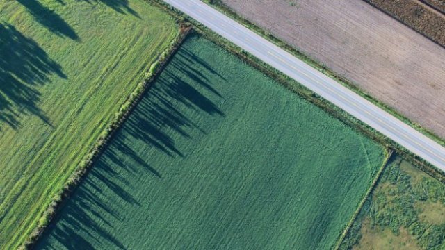 <p>
	<em>Снимка: Pixabay</em></p>
