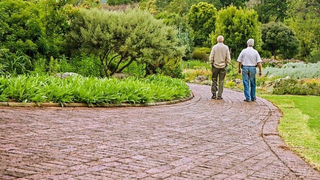 <p>
	<em>Снимка: Pixabay</em></p>
