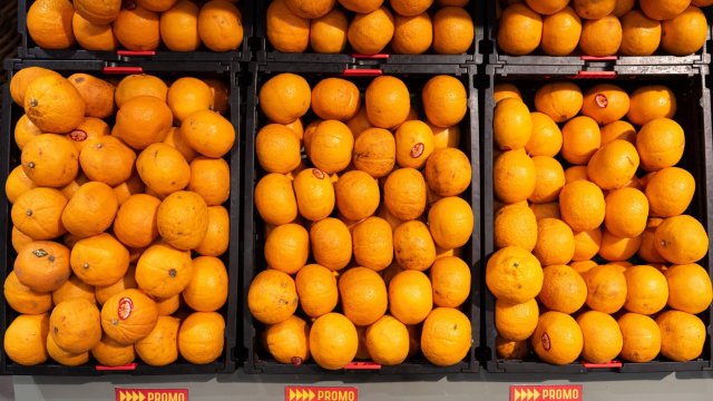 Снимка: Bloomberg L.P.