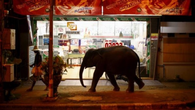 <p>
	<em>Снимка: Архив Ройтерс</em></p>
