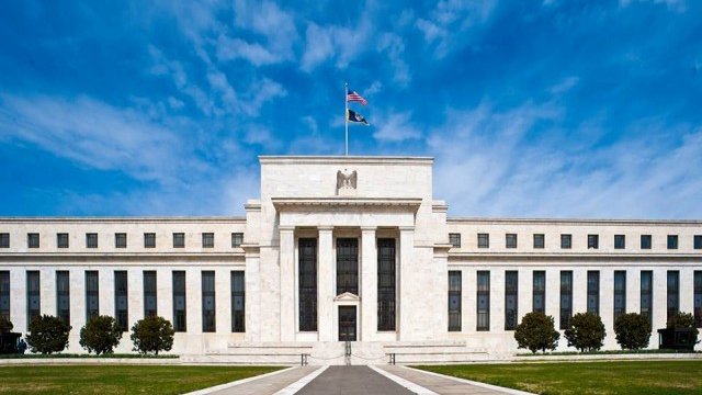 <p>
	Снимка: <em>Официален профил на Фед във Facebook</em></p>
