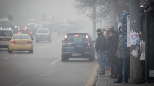 <p>
	<em>Снимка: Димитър Кьосемарлиев, Investor Media Group</em></p>
