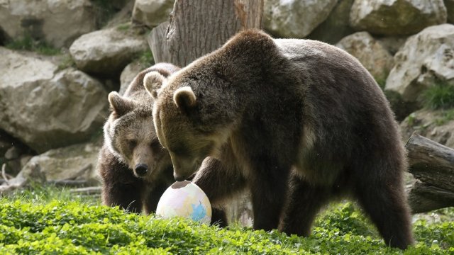 Снимка: EPA/БГНЕС