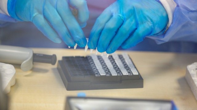 <p>
	<em font-size:="" pt="" style="color: rgb(102, 102, 102); font-family: ">Снимка: Димитър Кьосемарлиев, Investor Media Group</em></p>
