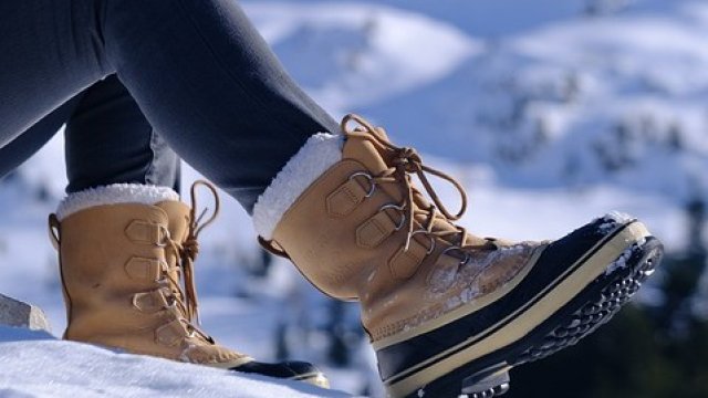 <p>
	<em>Снимка: Pixabay</em></p>
