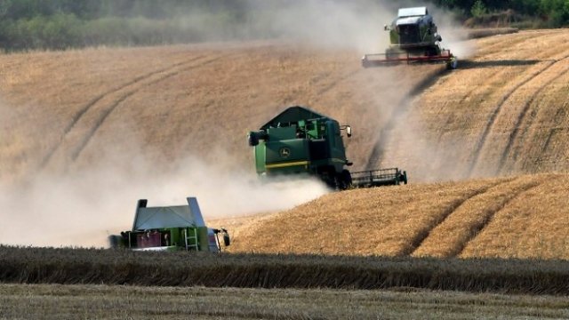 <p>
	Жътва край разградското село Малък Поровец, 19 юли 2018 г. <em>Снимка: БТА&nbsp;</em></p>
