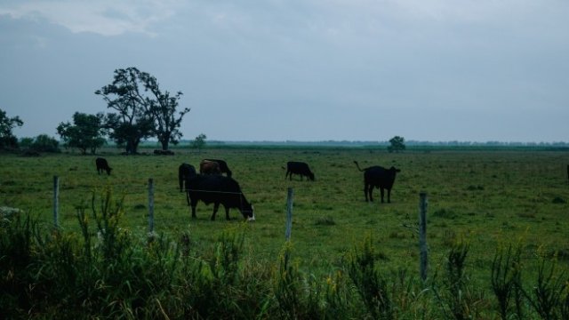 <p>
	<em>Снимка: Bryan Tarnowski/Bloomberg</em></p>
