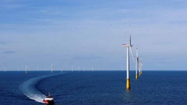 <p>
	<em>Снимка: архив Ройтерс</em></p>
