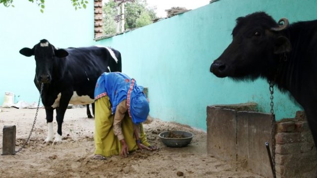 <p>
	<em>Снимка: Bloomberg</em></p>
