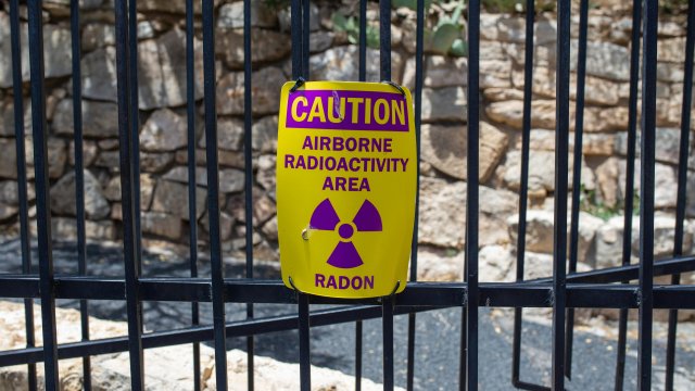 Снимка: pexels.com