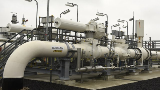 Снимка: Архив Ройтерс