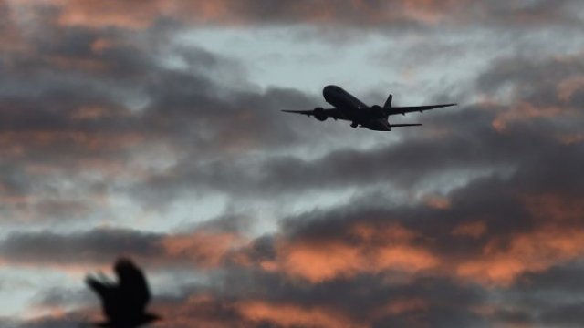 <p>
	<em>Снимка: Архив Ройтерс</em></p>
